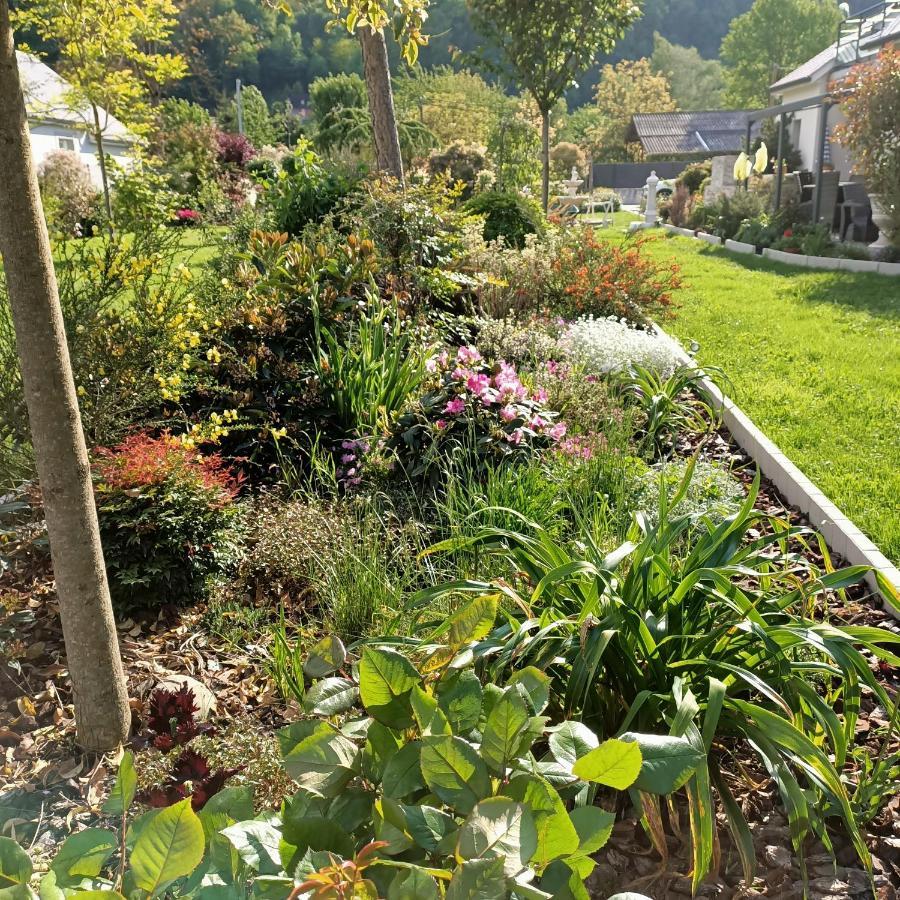 Le balcon des cimes B&B Adast Extérieur photo