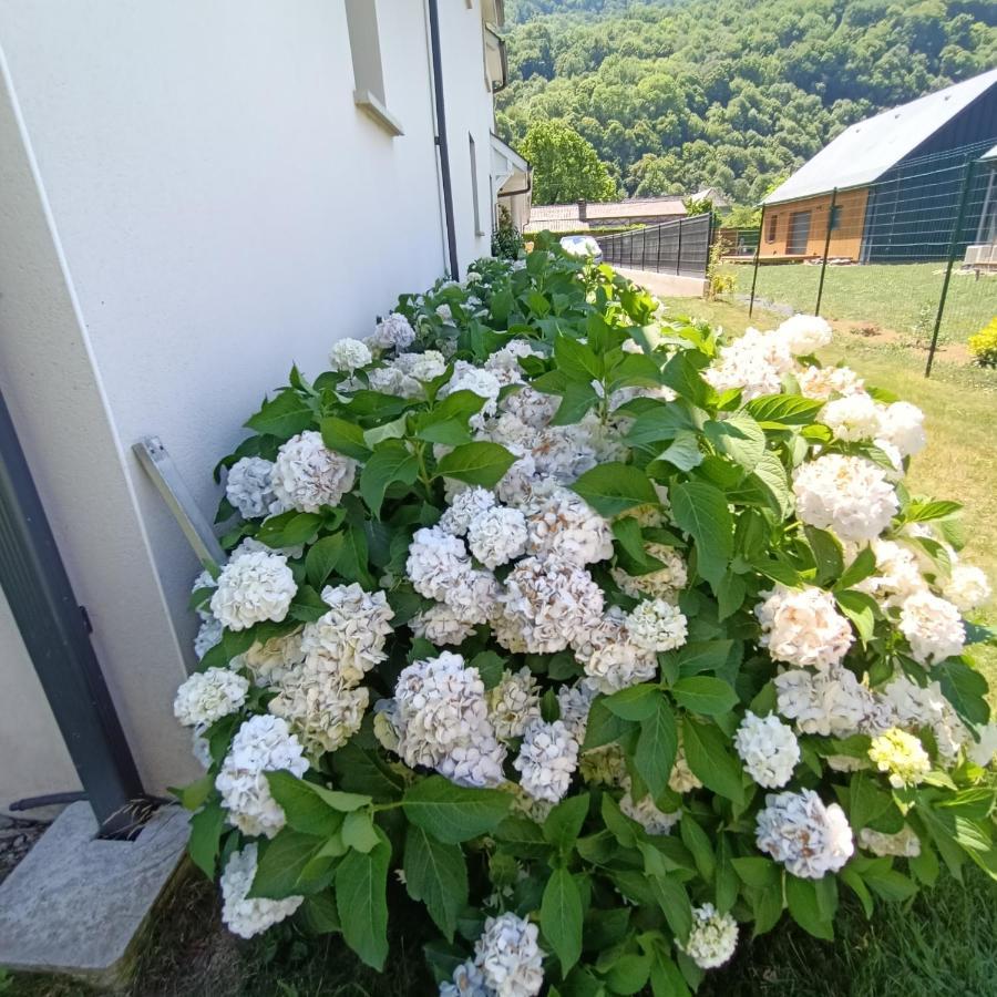 Le balcon des cimes B&B Adast Extérieur photo